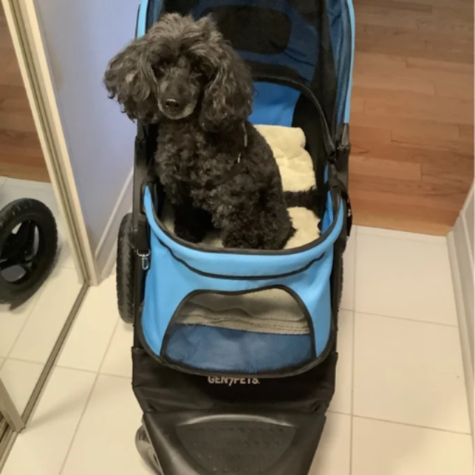 Folding Jogger Stroller Gen7Pets 