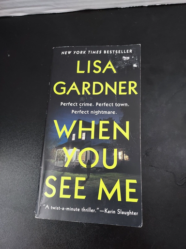 When You See Me, Lisa Gardner. Perfect Crime, Perfect Town, Perfect Nightmare 