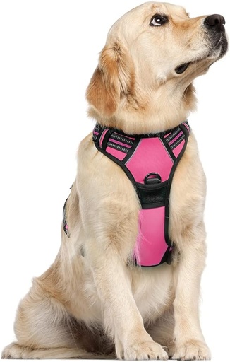 [B09BB23GS4] rabbitgoo Arnés para perro, arnés sin tirones para mascotas con 2 clips para correa, chaleco acolchado suave ajustable para perro, chaleco Oxford reflectante sin estrangulamiento para mascotas con asa